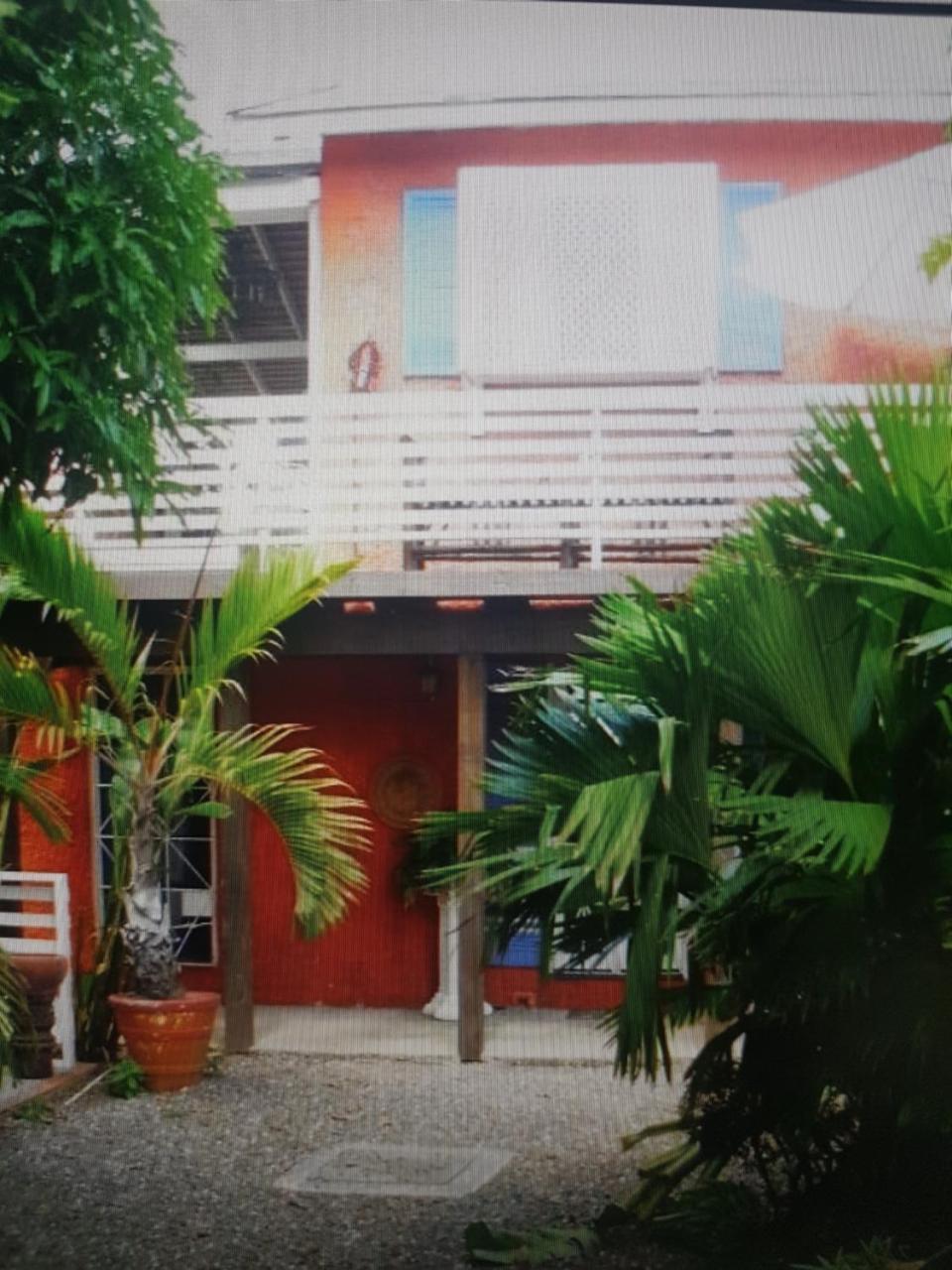 Mikuzi Hotel Kingston Exterior foto